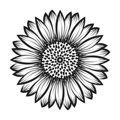 Hand drawn floral drawing illustration. Floral Line art for print or use as tattoo, card, poster, flyer or T Shirt