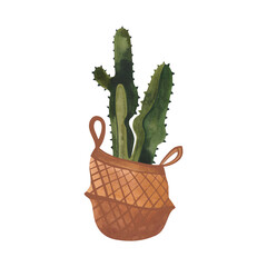 Cactus in a wicker basket. Plants for the home. Floriculture. Interior decoration. Isolated watercolor illustration on white background. Clipart.