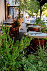 restaurant terrace with different plants
