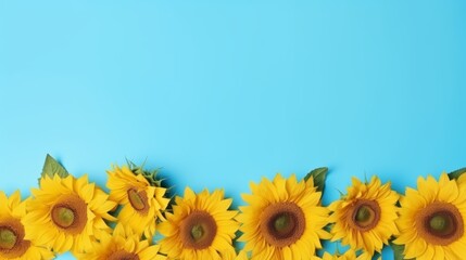 Fototapeta premium Bright yellow sunflowers against a blue background.