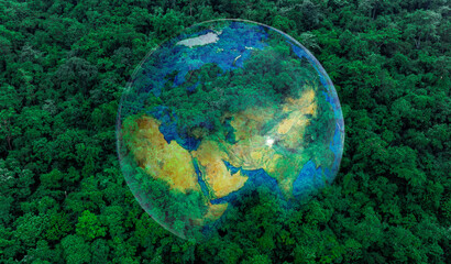 Aerial view of the green forest against the land. Demonstrates the concept of preserving the...