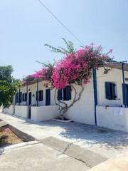 street in the village of island