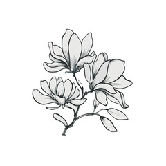 Magnolia Doodle Art: Elegant Flower Sketch for Stylish Designs