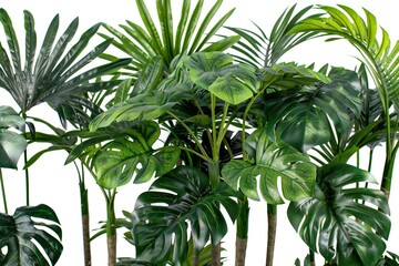 Fototapeta premium Tropical Trees Displayed on a Clean White Background - Beautiful Botanical Collection