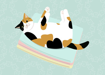 畳んだ洗濯物の上に寝転がる猫　ミケネコ