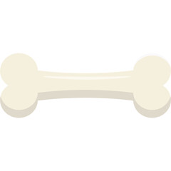 Bone Illustration