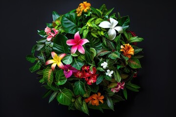 Obraz premium beautiful and colorful tropical flowers on black background