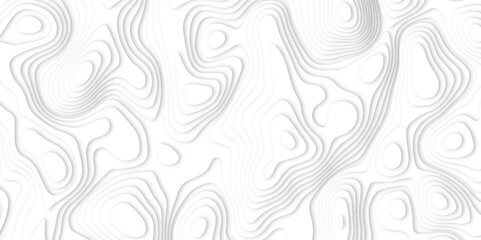Fototapeta premium Abstract white paper cut background with lines. Background of the topographic map. Vector white geometric 3d papercut wave carve line element. topographic canyon map light relief texture.