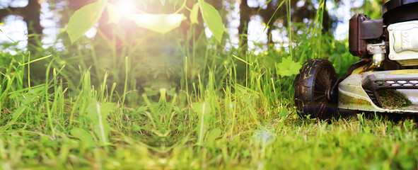 Lawn mower cut grass. Garden work. Electric Rotary lawn mower machine. Panorama, banner
