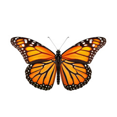 A vibrant Monarch butterfly displays its stunning orange and black wings transparent background, PNG