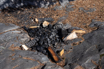 partially burnt wooden logs in camping site