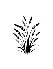 Obraz premium silhouette of gras