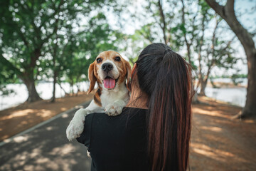Woman with happy beagle dog looking over her shoulder in public park. Dog and owner together, best friends. Love for animals