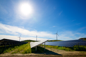 Solar panels for renewable electricity production and wind turbines