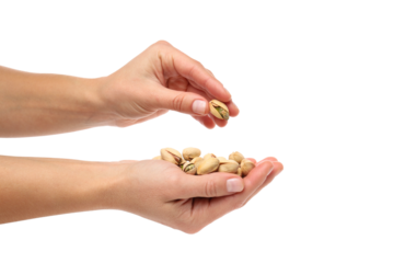 PNG, pistachios in hands, isolated on white background.