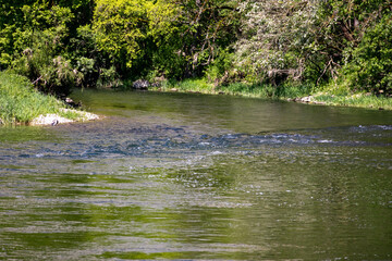 Obere Donau, Landkreis Sigmaringen. Schwäbische Alb