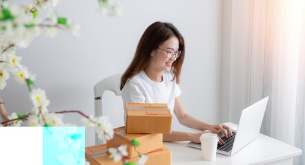 Young asian girl is freelancer with her private business at home office