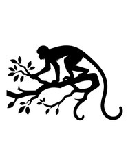 silhouette of monkey