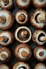 Top view of fresh mushrooms on a metal tray. Creative advertising photo. Close up.