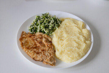 A delicious breakfast or lunch with mashed potatoes, chop with salad - green onions and green young...