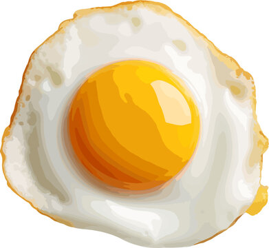 recommend clip art: Fried egg clip art