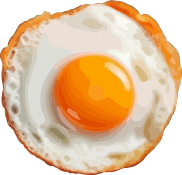 recommend clip art: Fried egg clip art