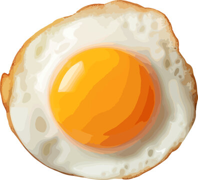 recommend clip art: Fried egg clip art
