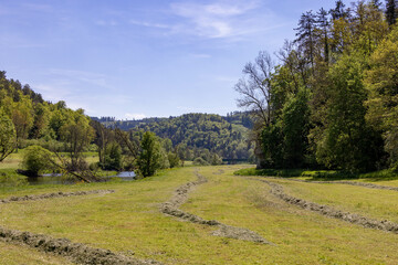 Naklejka premium Ansichten im oberen Donautal. Schwäbische Alb