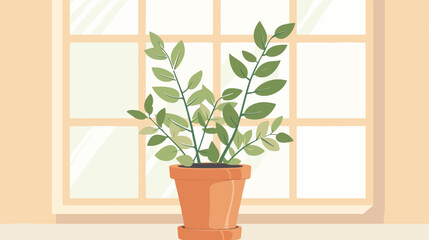 Home plant. Green plant growing in clay pot house