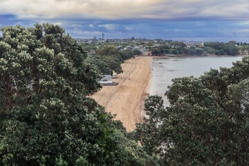 Cheltenham Beach and pohutukawa trees. Devonport, Auckland,New Zealand.