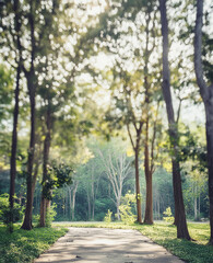 Tree photo artificial intelligence generation.
