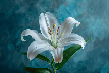 White Lily with a Deep Blue Textured Background