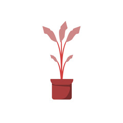 plant decoration for your nature design. plant illustration with flat style