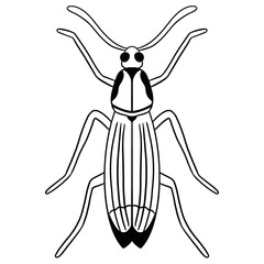 Beetle Line Art