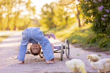 Fototapeta premium Cute beautiful schoolchild, playing with little gosling in a park on sunset