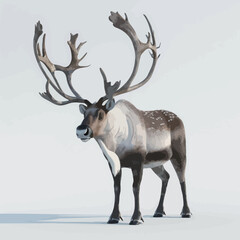 Deer with antlers on a white background. 3d rendering