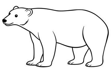 polar bear line art silhouette vector illustration