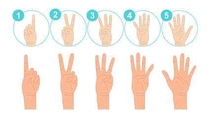 Fototapeta premium Human Hands Expressing Numbers 1, 2, 3, 4, and 5. Fingers Expressing Count from One to Five. Counting Hand: One, two, three, four, five. Set of Counting Hand Gestures. Vector.