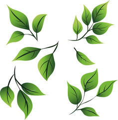 small green herbal leaves decor 