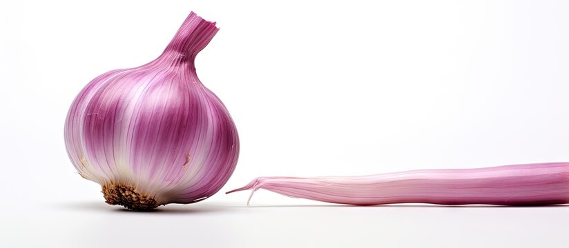 A horizontal copy space image featuring a white background with a purple garlic bulb and its individual cloves