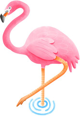 illustration of a flamingo