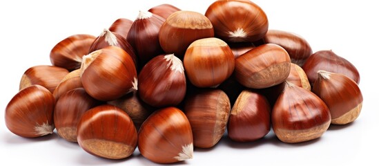 Obraz premium A top down view of a pile of sweet chestnuts isolated on a blank white background The copy space image showcases fresh chestnuts ready for roasting