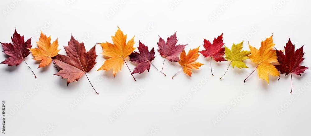 Poster a fall themed arrangement of leaves on a blank white backdrop presenting a copy space image