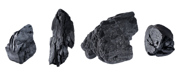 Natural organic wooden charcoal pieces cut out on transparent background. Set of various charcoal for design.