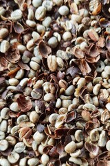 Coffee beans drying in the sun  