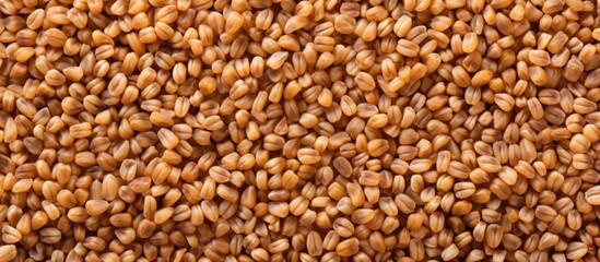 Fototapeta premium Close up macro texture of buckwheat malt used in the production of alcoholic beverages and animal feed with a background and copy space image showcasing the cereal groats