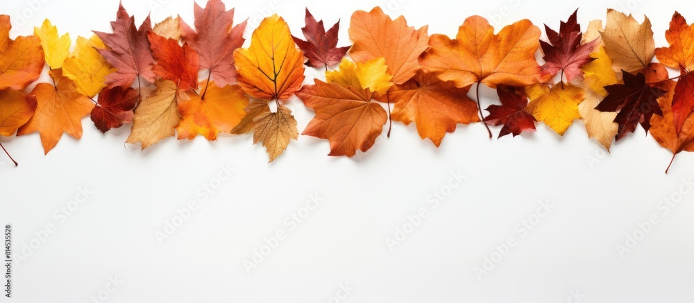 Poster a top down view of a border frame made from vibrant autumn leaves isolated on a white background the