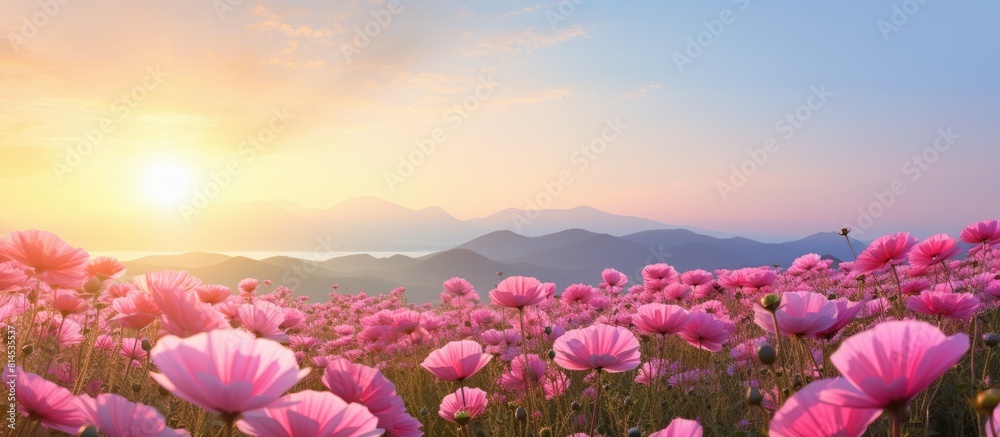 Fototapete In the morning there is a beautiful scene of pink flower fields with plenty of empty space for text or images. with copy space image. Place for adding text or design