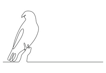 Hawk bird continuous single line drawing vector illustration. Pro vector