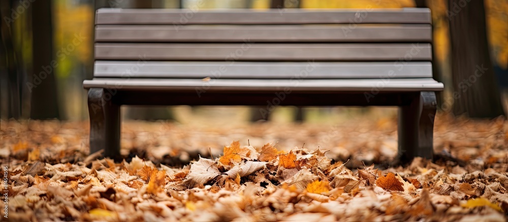 Poster a wooden bench covered with dead leaves providing an empty space for a copy space image